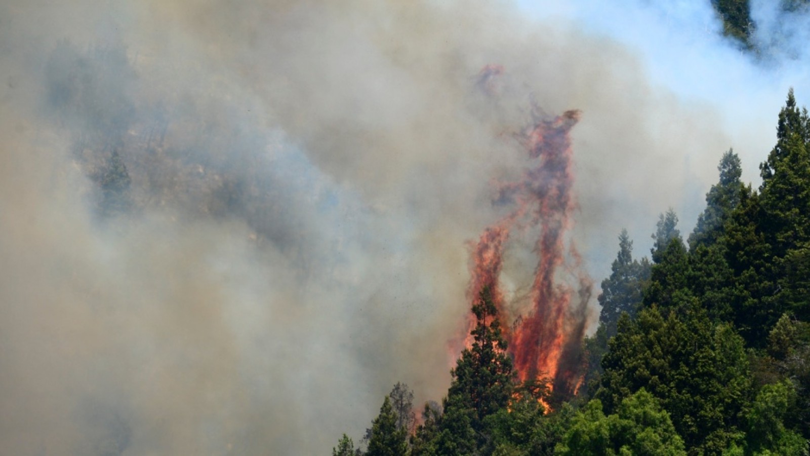 Aseguran que hubo fallas en la logística para contener el incendio en Bariloche